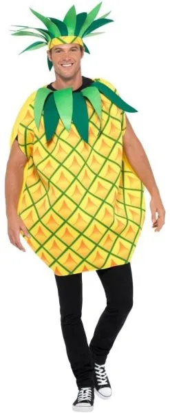 Overig Ananas Pak Pineapple -Sinterklaas Verkoop ananas pak pineapple 2