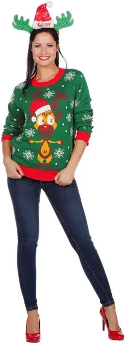 Overig Groene Kersttrui Met Rudolf -Sinterklaas Verkoop groene kersttrui met rudolf 1