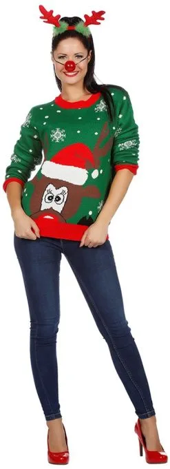 Overig Kersttrui Groen Met Hoofd Rudolf -Sinterklaas Verkoop kersttrui groen met hoofd rudolf 1